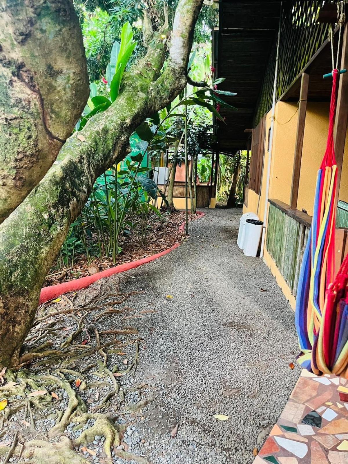 La Casa De Rolando Villa Puerto Viejo de Talamanca ภายนอก รูปภาพ