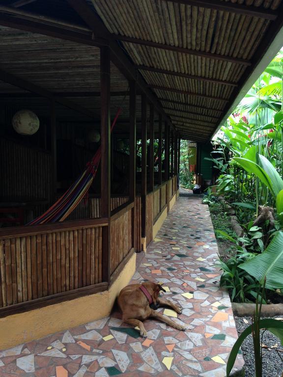 La Casa De Rolando Villa Puerto Viejo de Talamanca ภายนอก รูปภาพ