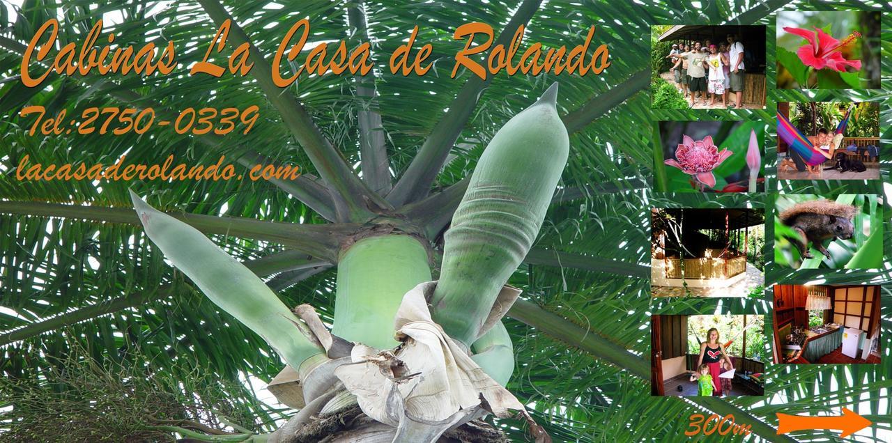 La Casa De Rolando Villa Puerto Viejo de Talamanca ภายนอก รูปภาพ